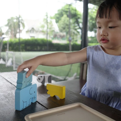 Plan Toys 4644 Animal Puzzle Game 5 Plan Toys 4644 Animal Puzzle Game - Image 3