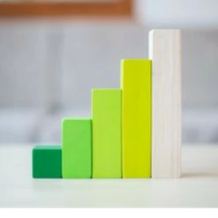 Plan Toys Ordering Blocks - PT 5370 -Plan Toys Shop 3 f4d97751 35df 4178 b2e6 5b6ee00f882c