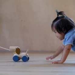 Plan Toys Push & Pull Puppy - PT 5724 -Plan Toys Shop 71 aff42a05 bf9e 4cf7 a709 e69179dd2559