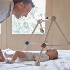 Plan Toys Play Gym - Orchard - PT 5270 -Plan Toys Shop 79