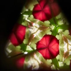 Plan Toys Kaleidoscope -Plan Toys Shop Plan Toys Caleidoscoop 1