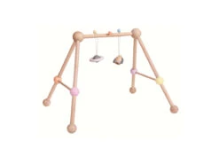 Front Page 20 Plan Toys Baby Gym